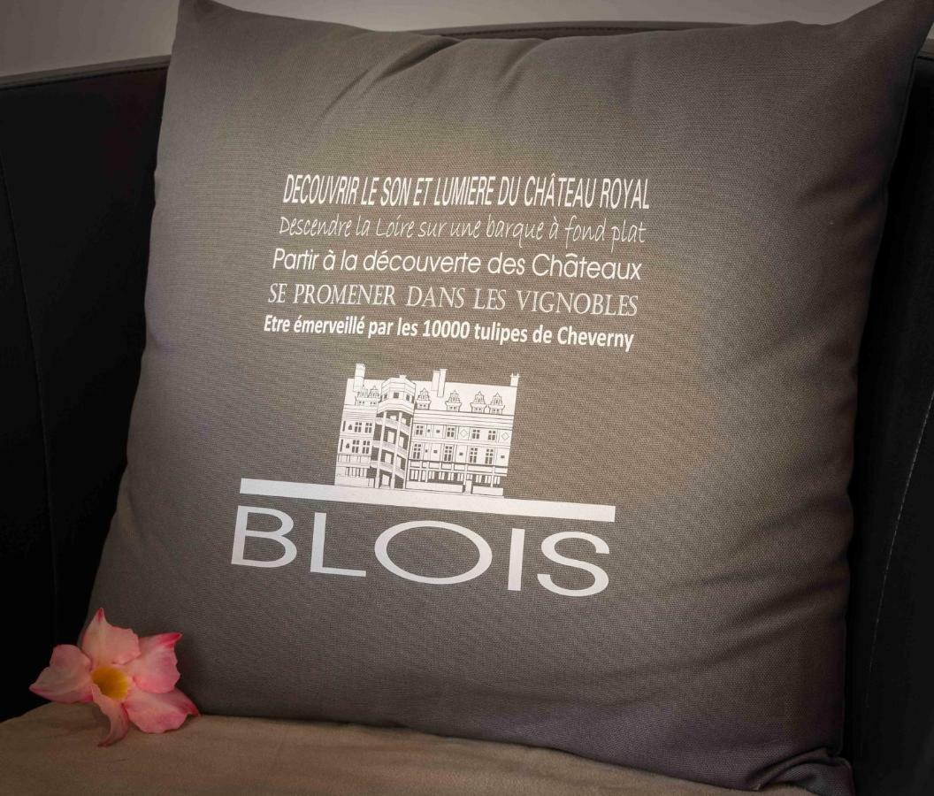Le Relais Du Petit Lion Apartment บลัวส์ ภายนอก รูปภาพ